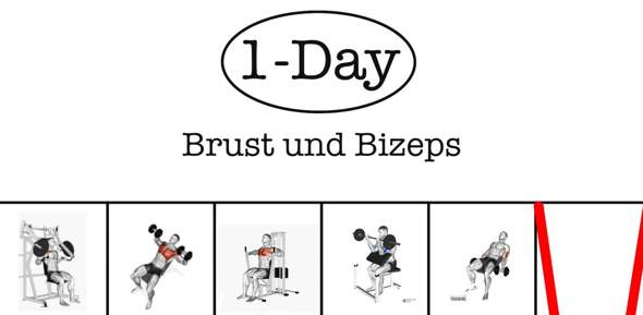 Bild zum Beitrag