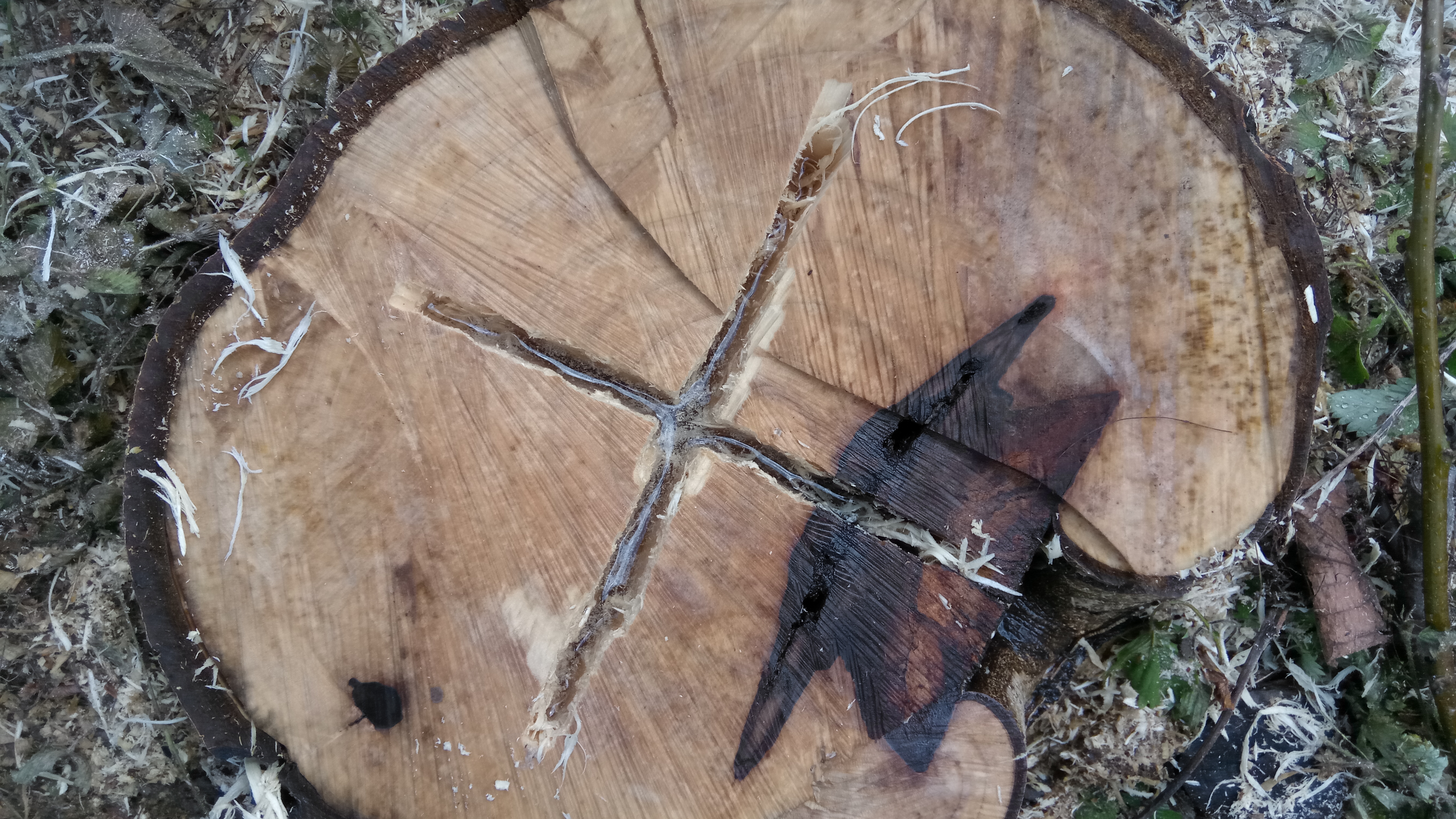 Gibt Es Ein Mittel Um Holz Schneller Faulen Zu Lassen Garten Holzschutz