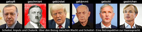Bild zum Beitrag