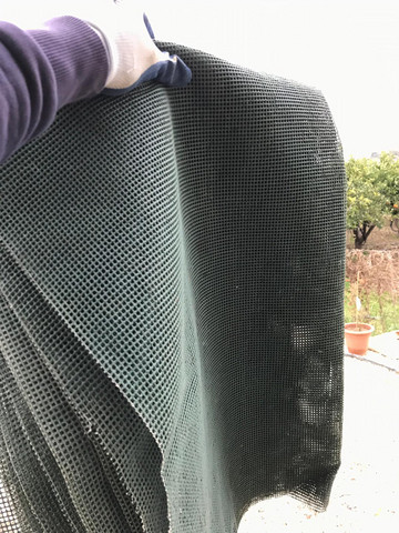 Gibt Es Einen Namen Hierfur Garten Teppich