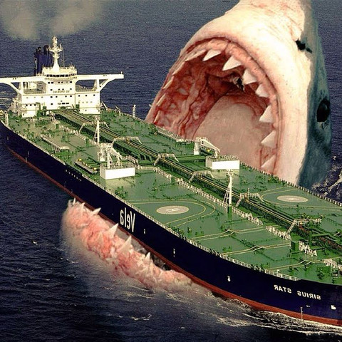 Gibt es Megadolon heute noch? (Hai, Megalodon)