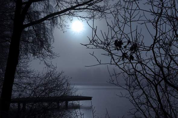 Bild zum Beitrag