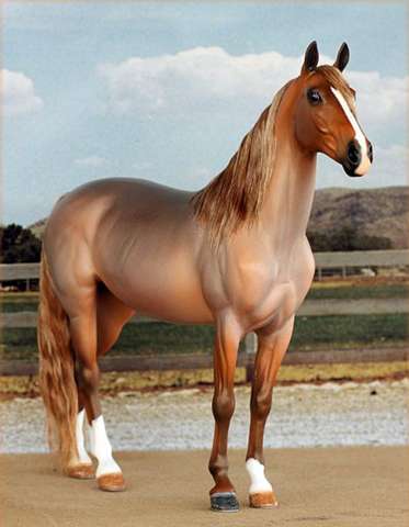 Gibt es so eine Fellfarbe bei Pferden wirklich?