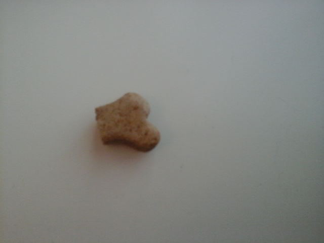 Gift in hunde Leckerli ? (Hund)