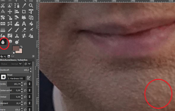 Gimp Weshalb Funktioniert Der Weichzeichner Nicht Computer Fotografie Photoshop