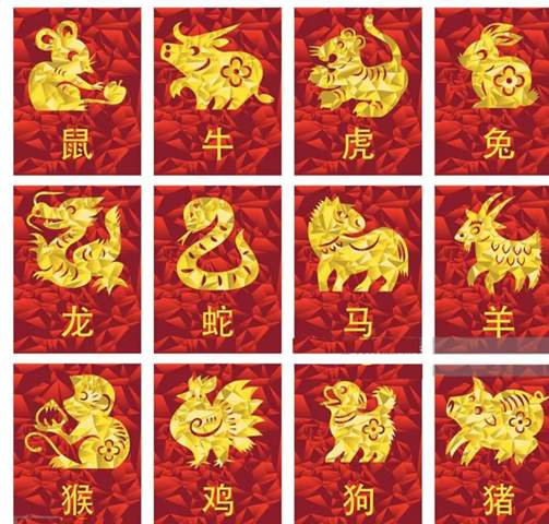 Glaub ihr an chinesische Sternzeichen?