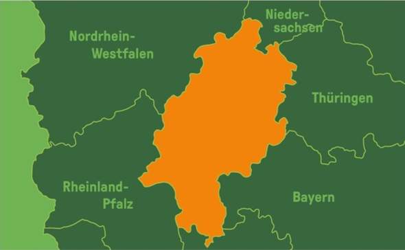 Bild zum Beitrag