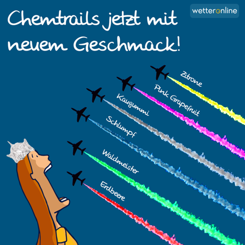 Bild zum Beitrag