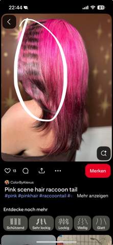 Bild zum Beitrag