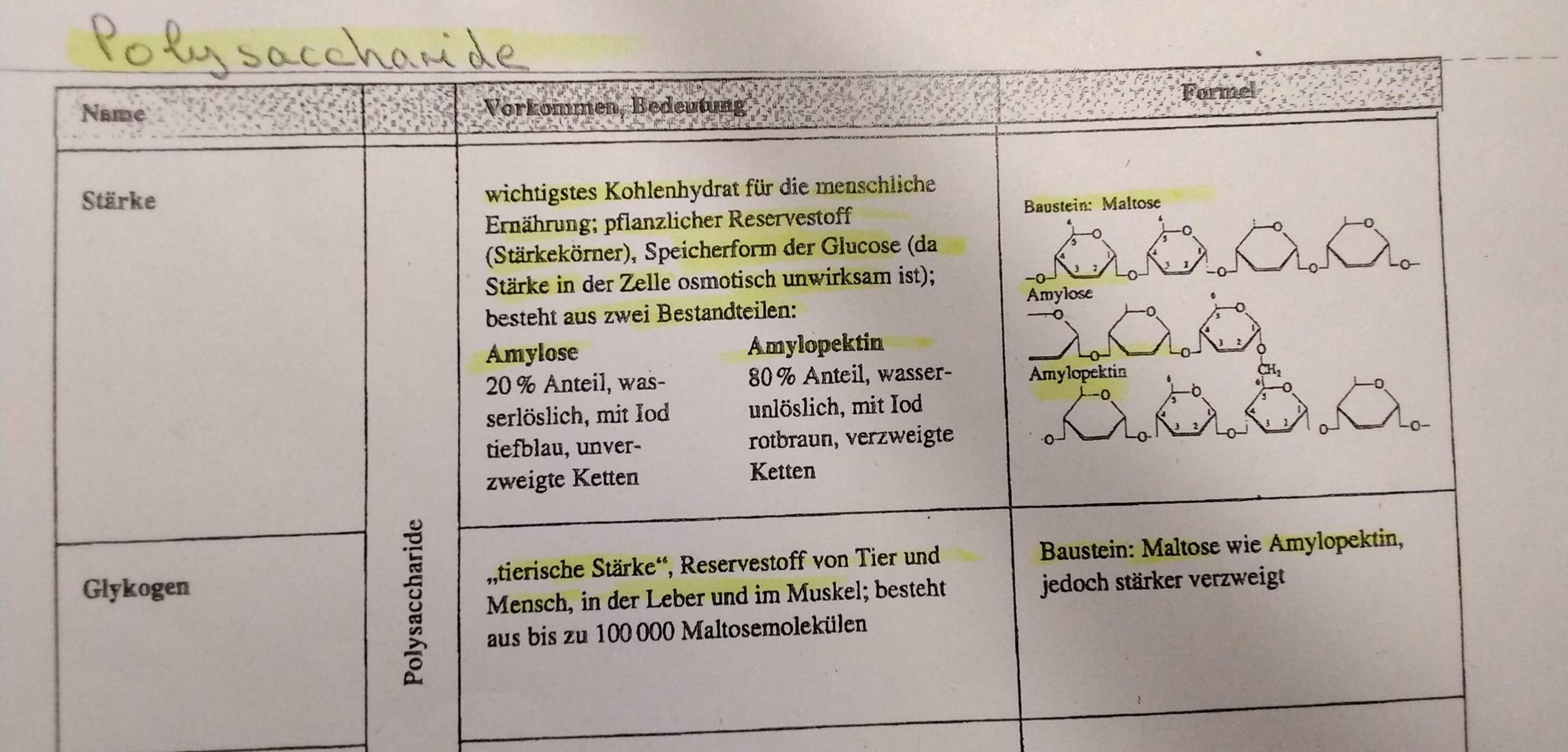 Glykogen und Stärke? (Essen, Chemie, Biologie)