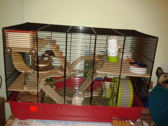 Der neue Käfig ! - (Hamster, Käfig)