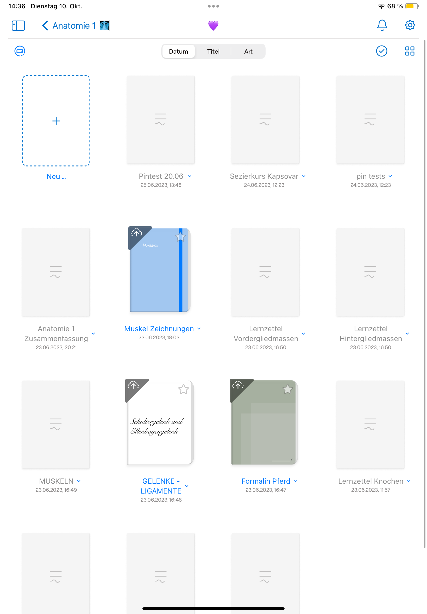 Goodnotes 6 alle Dokumente sind grau und können nicht werden? (Apple, App, iPad)