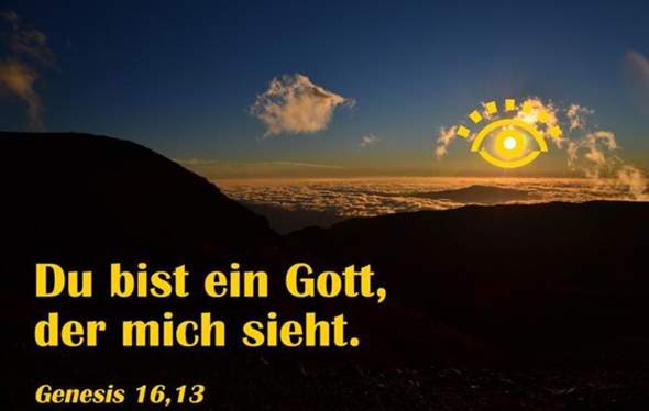 Bild zum Beitrag