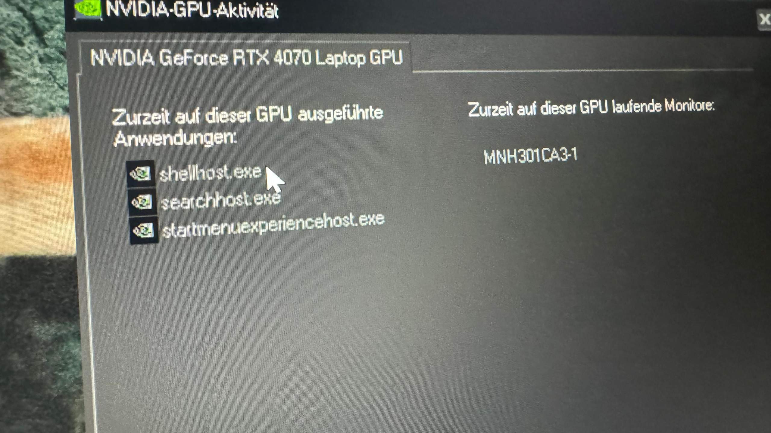 GPU wird durch shellhost.exe searchhost.exe und ...