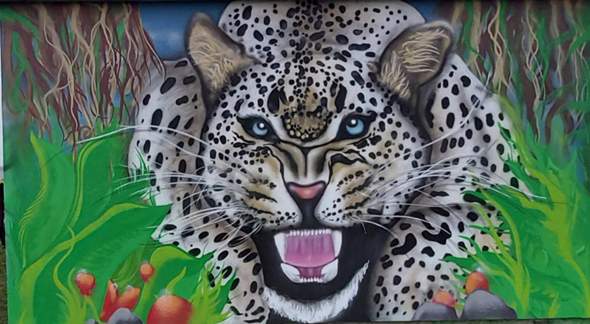 - (Graffiti, step-by-step)