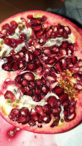 Granatapfel Reif Obst Fruchte Reife Granatapfel Reif Obst Fruchte Reife