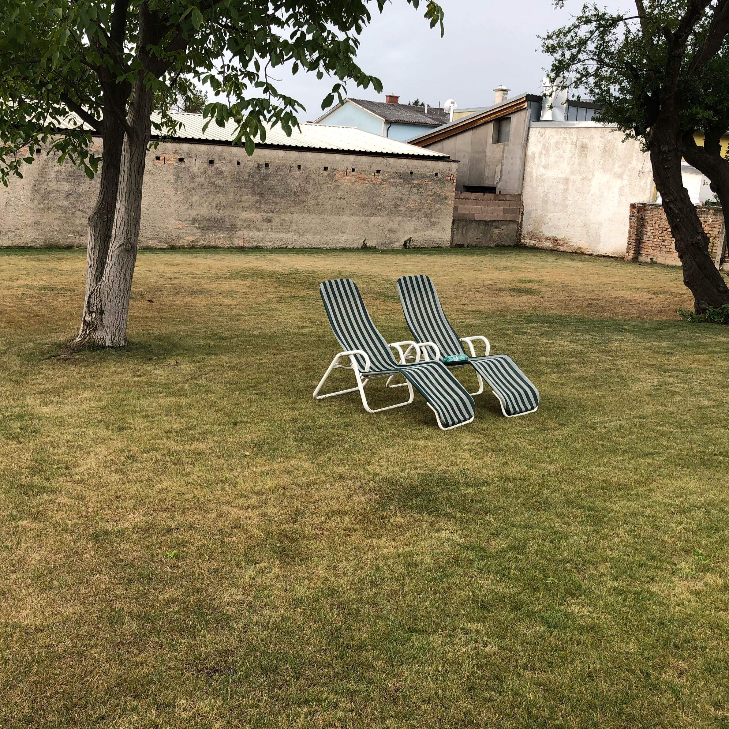 Gras wieder grün bekommen? (Garten, draußen, Rasen)