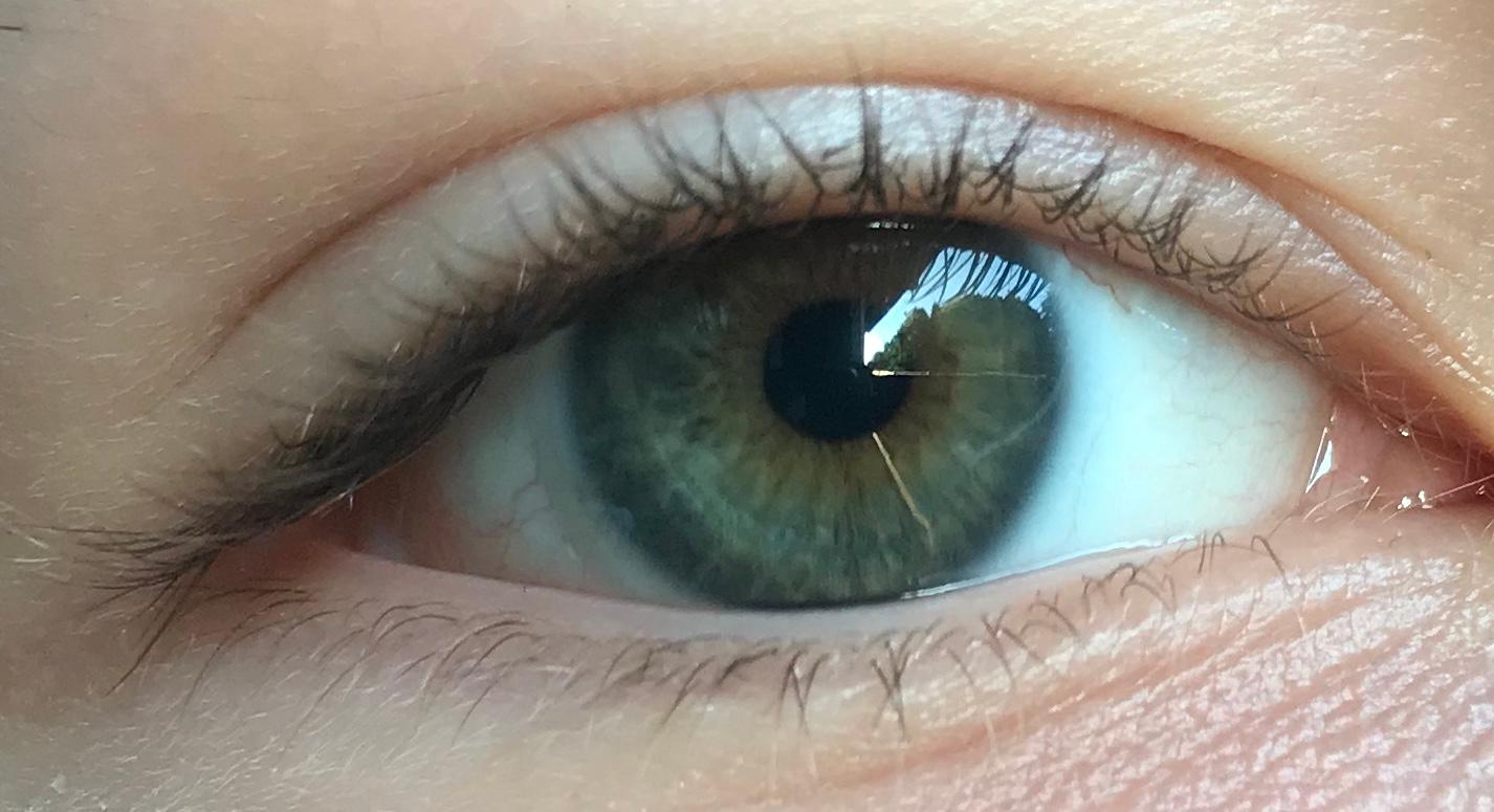 Grau grüne Augen oder grau braun? (Augenfarbe)