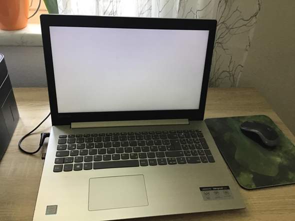 Grauer Bildschirm am Laptop?