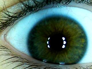 Grauer Rand um das Auge// Farbe?! (Augen, Gesicht)