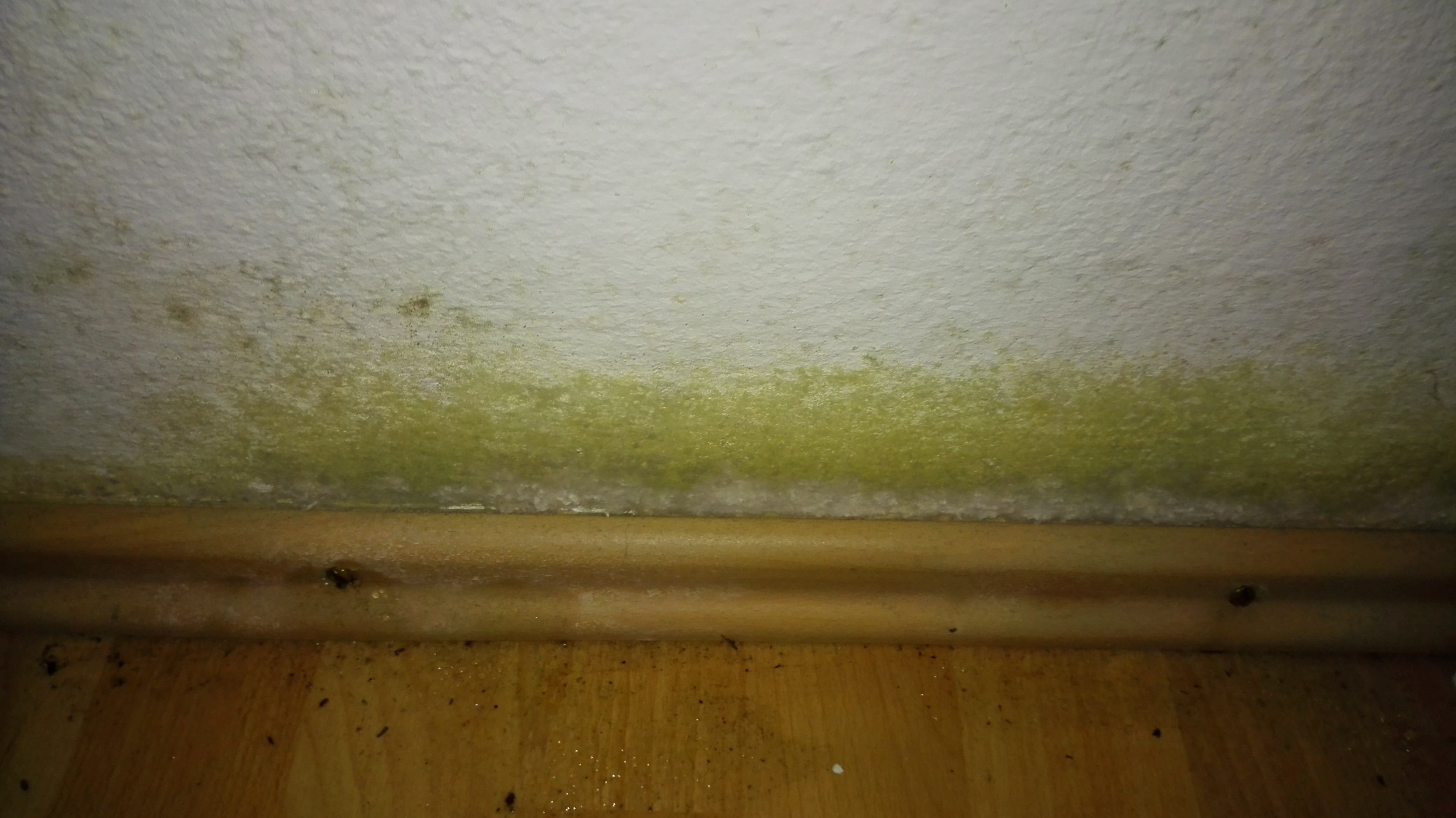 Bilder Fur Schlafzimmer Grun Caseconrad Com