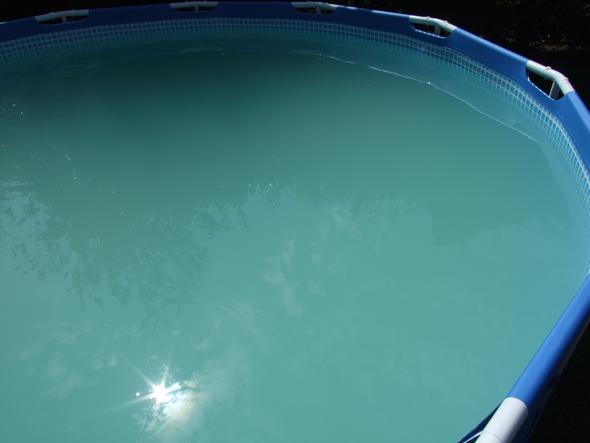 Grunes Wasser Im Pool Alles Versucht Und Noch Nicht Geholfen Grun Grunes Wasser Im Pool Alles Versucht Und Noch Nicht Geholfen Grun