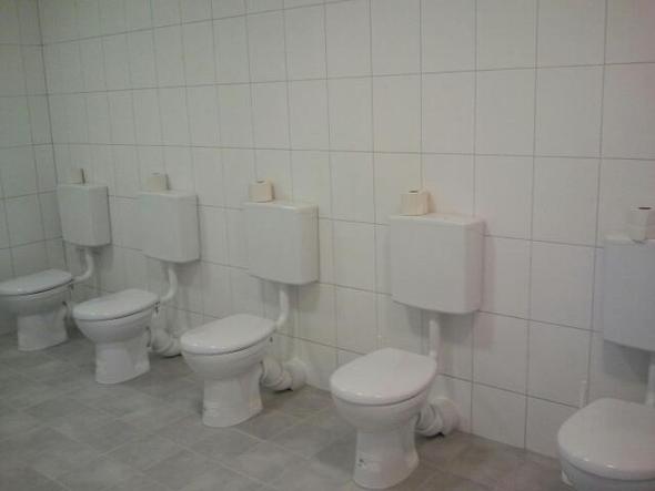 Die Gruppen-Toilette. - (Schule, Recht, Gesetz)