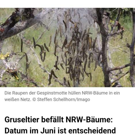 Bild zum Beitrag