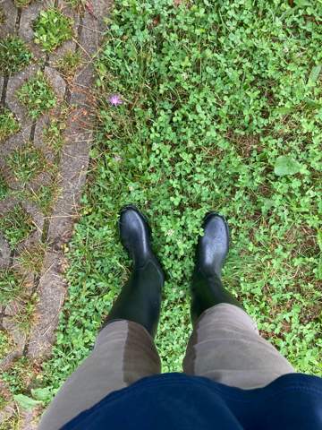 Bild zum Beitrag