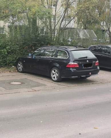 Bild zum Beitrag