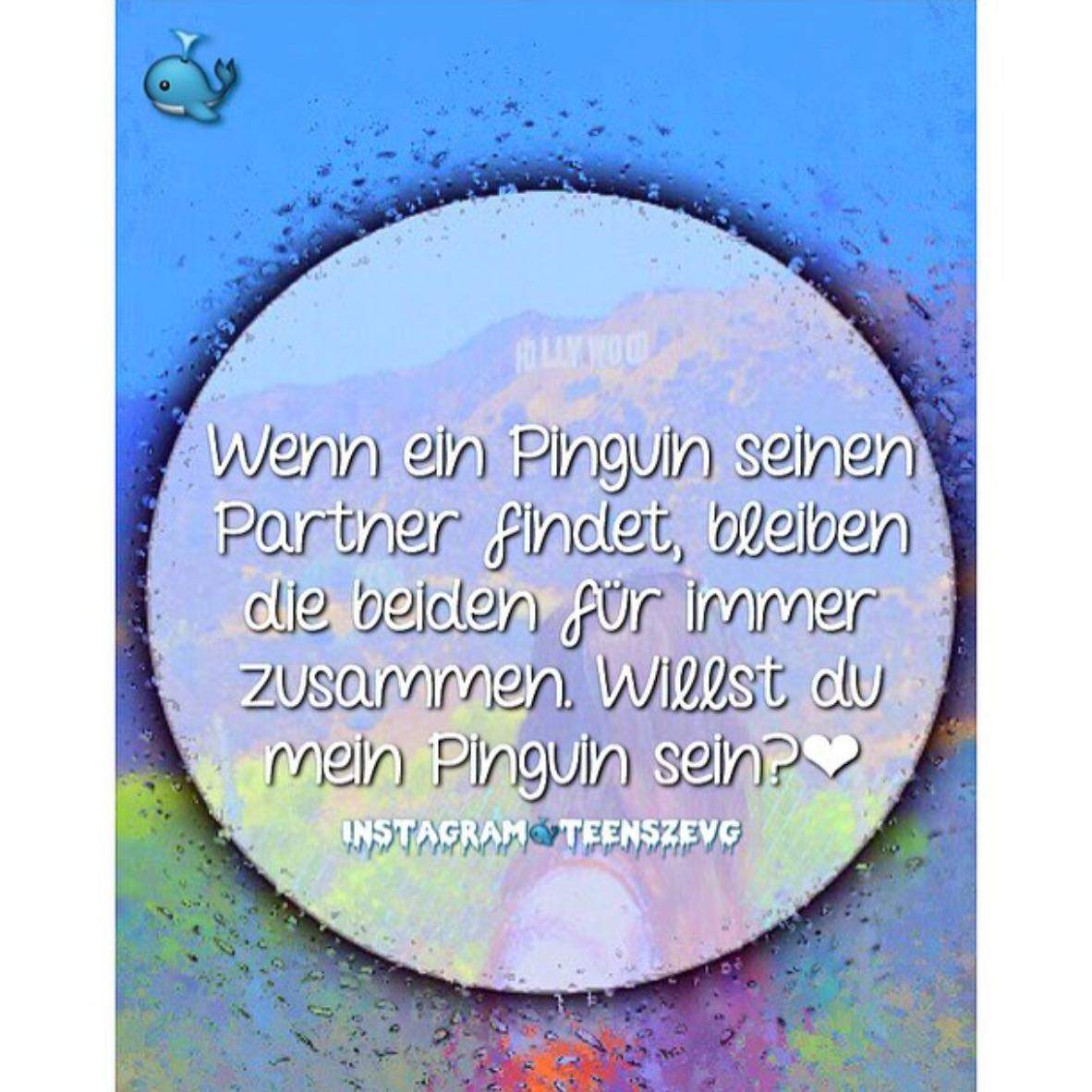 Gute Apps für Spruchbilder auf Instagram? (App, schön)