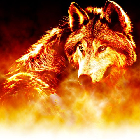 Wolf 1 - (Fantasy, Kurzgeschichte, Wolf)