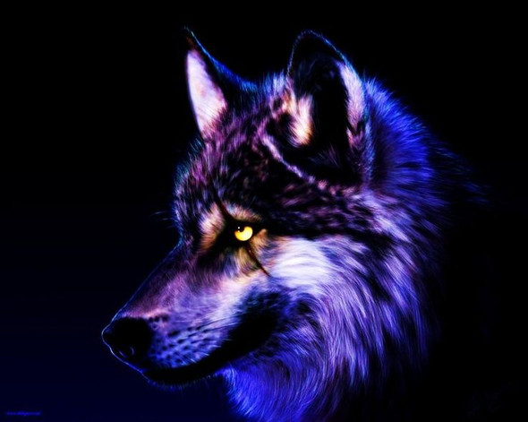 Wolf 7 - (Fantasy, Kurzgeschichte, Wolf)