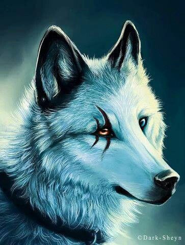 Gute Namen Fur Diese Wolfe Fantasy Kurzgeschichte Wolf
