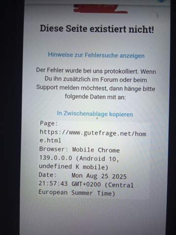 Bild zum Beitrag