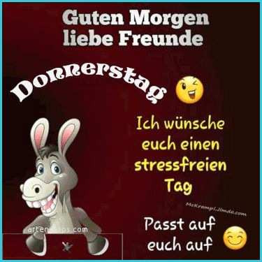 Guten Morgen Donnerstag Bilder Lustig Kostenlos In 2020 Mit