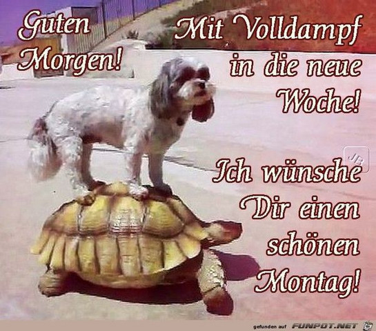 Guten Morgen Heute Am Montag Wurdet Ihr Die Moglichkeit Bekommen