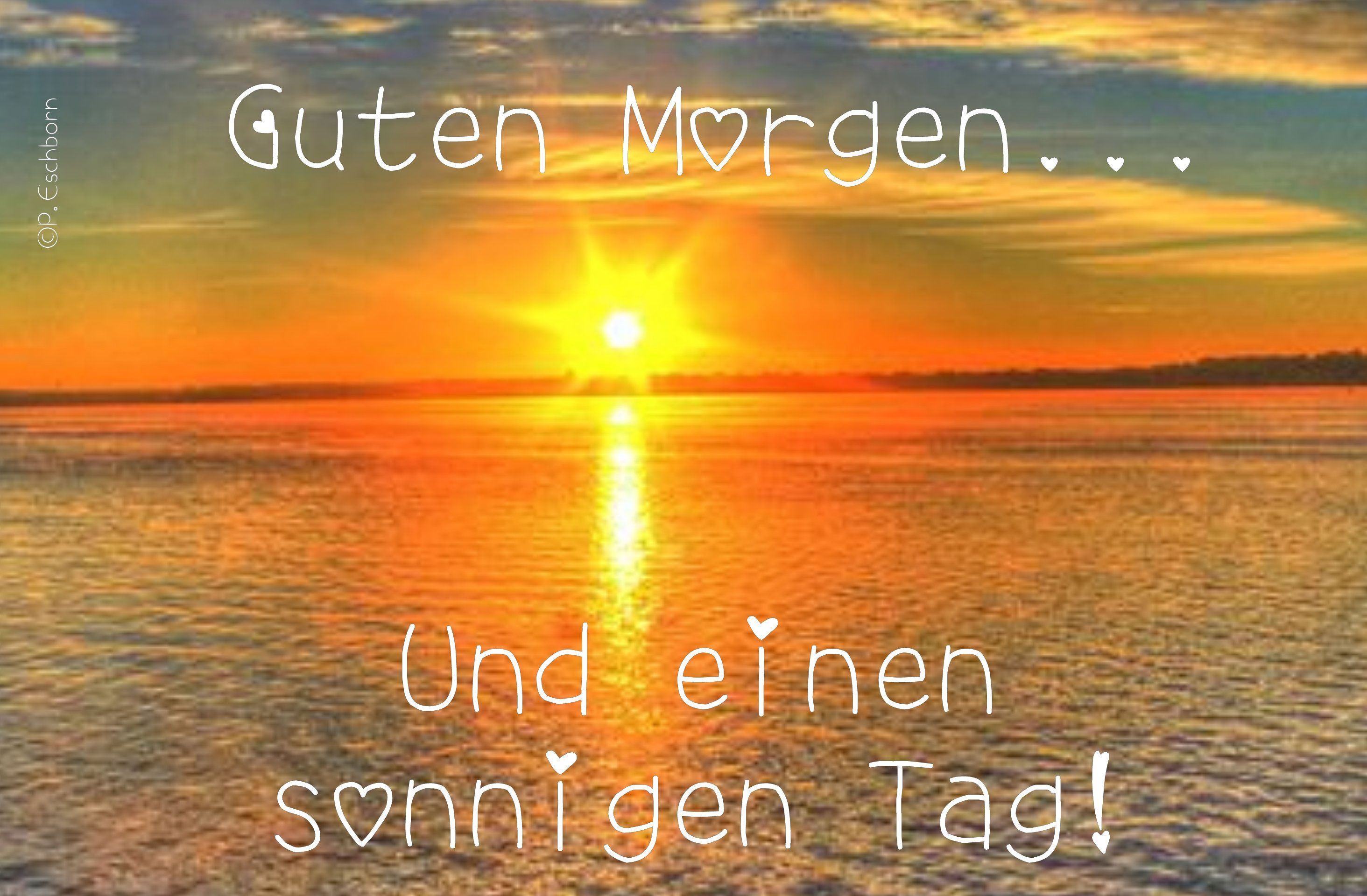 Guten heute zum Sonntag. Welche Bäume mögt ihr am Meisten, egal Guten heute zum Sonntag. Welche Bäume mögt ihr am Meisten, egal