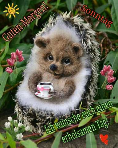 Guten Morgen Heute Zum Sonntag Welche Dinge Preise Oder