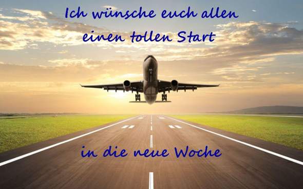 - (Leben, USA, auswandern)