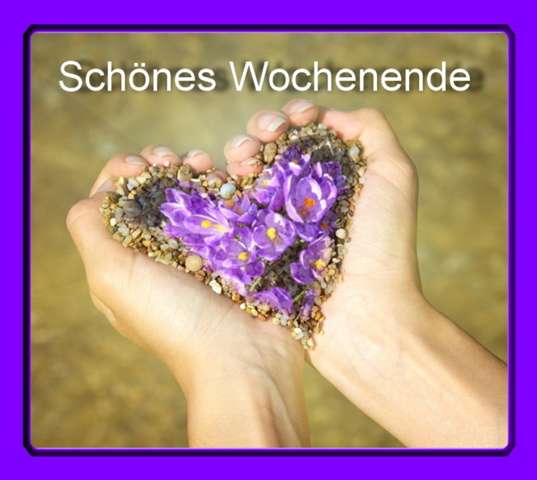 Guten Morgen Seid Ihr Auch Schon Alle Wach Traume