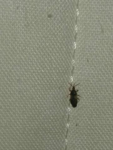 Was ist in einer beziehung wirklich wichtig Was ist in einer beziehung wirklich wichtig