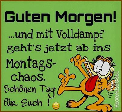 Guten Morgen Zum Wochenbeginn An Alle Gugumo Teilnehmer Heute