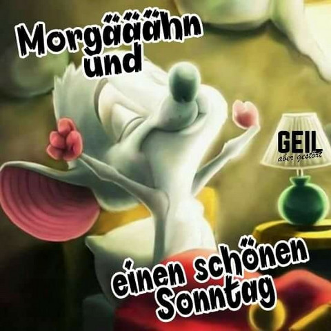 Guten Sonntag Morgen Leute, was würde ihr ohne eure ...