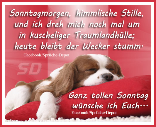 Download Sprueche sonnigen sonntag Desktop Wallpaper Sprueche Sonnigen Sonntag