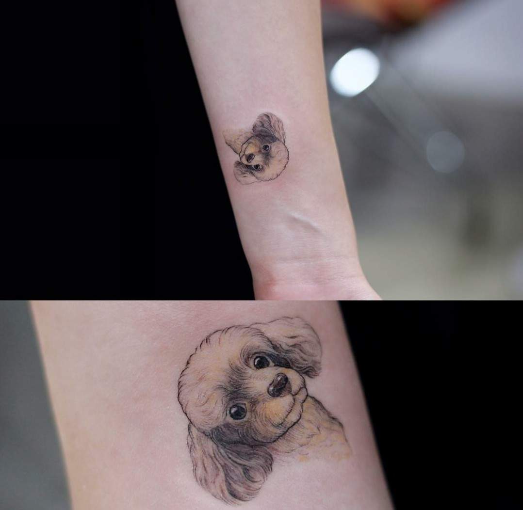 Guter Fineline Tätowierer in NRW/NDS? (Tiere, Deutschland, Tattoo)