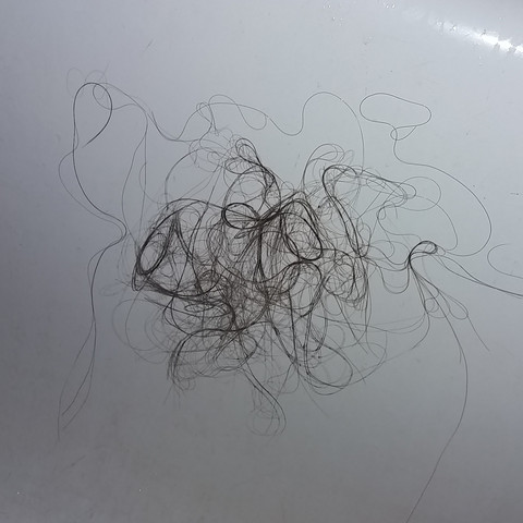 Haarausfall Normal Diese Menge Gesundheit Und Medizin Haare Arzt Haarausfall Normal Diese Menge Gesundheit Und Medizin Haare Arzt