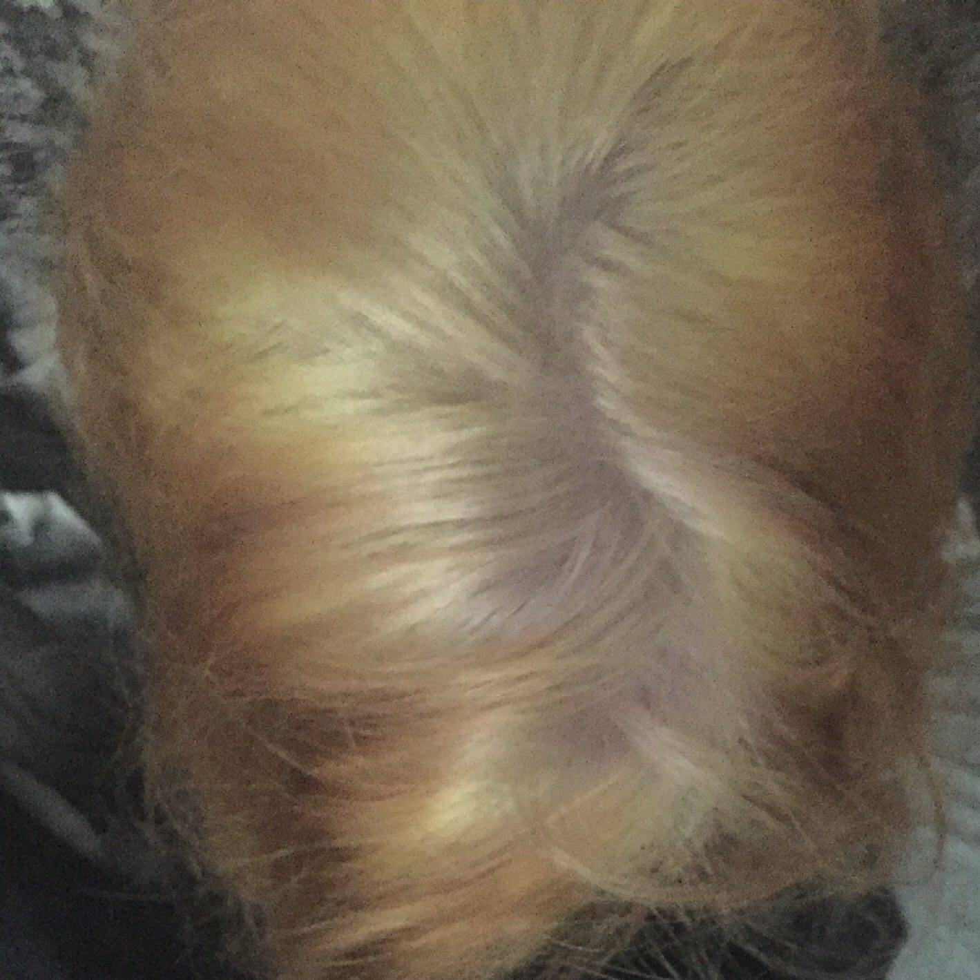 Haare Blondiert Ansatz Zu Hell Farben Blond