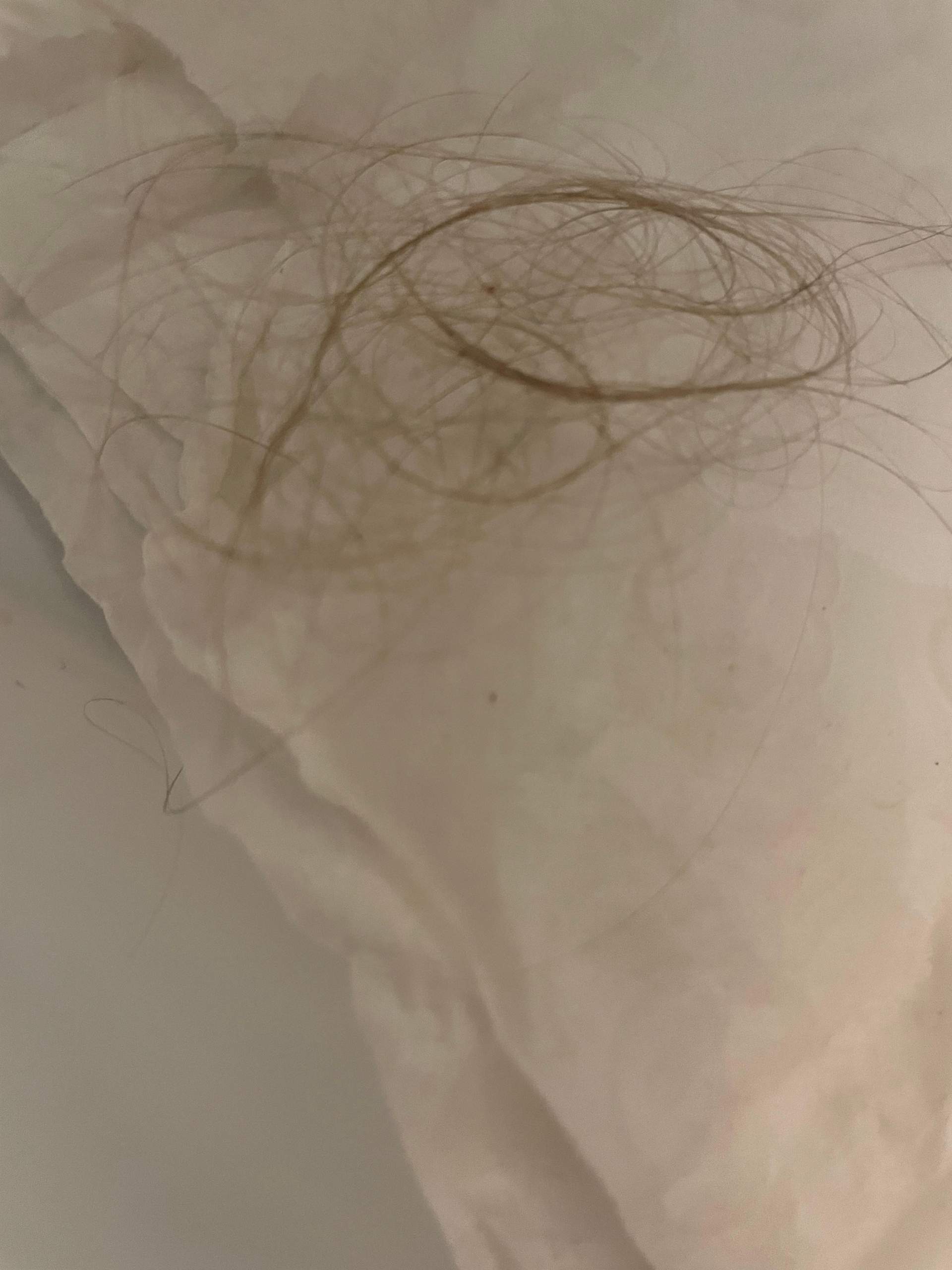 Wie Viele Haare Verliert Man Beim Duschen Haare fallen raus nach dem duschen? (Männer, Friseur, Haarausfall)