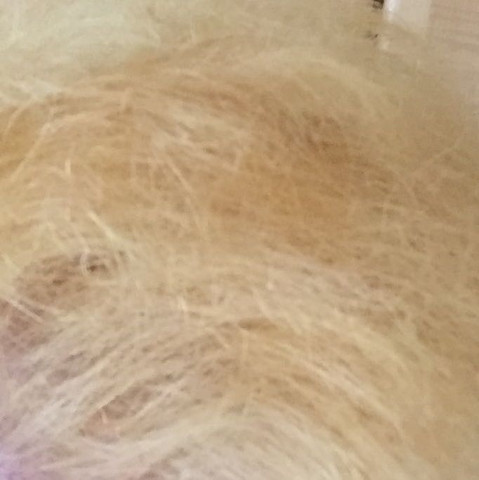 So sehen meine Haare aus und die leuchten auch zuemlich heftig  - (Haare, Friseur, Haarfarbe)